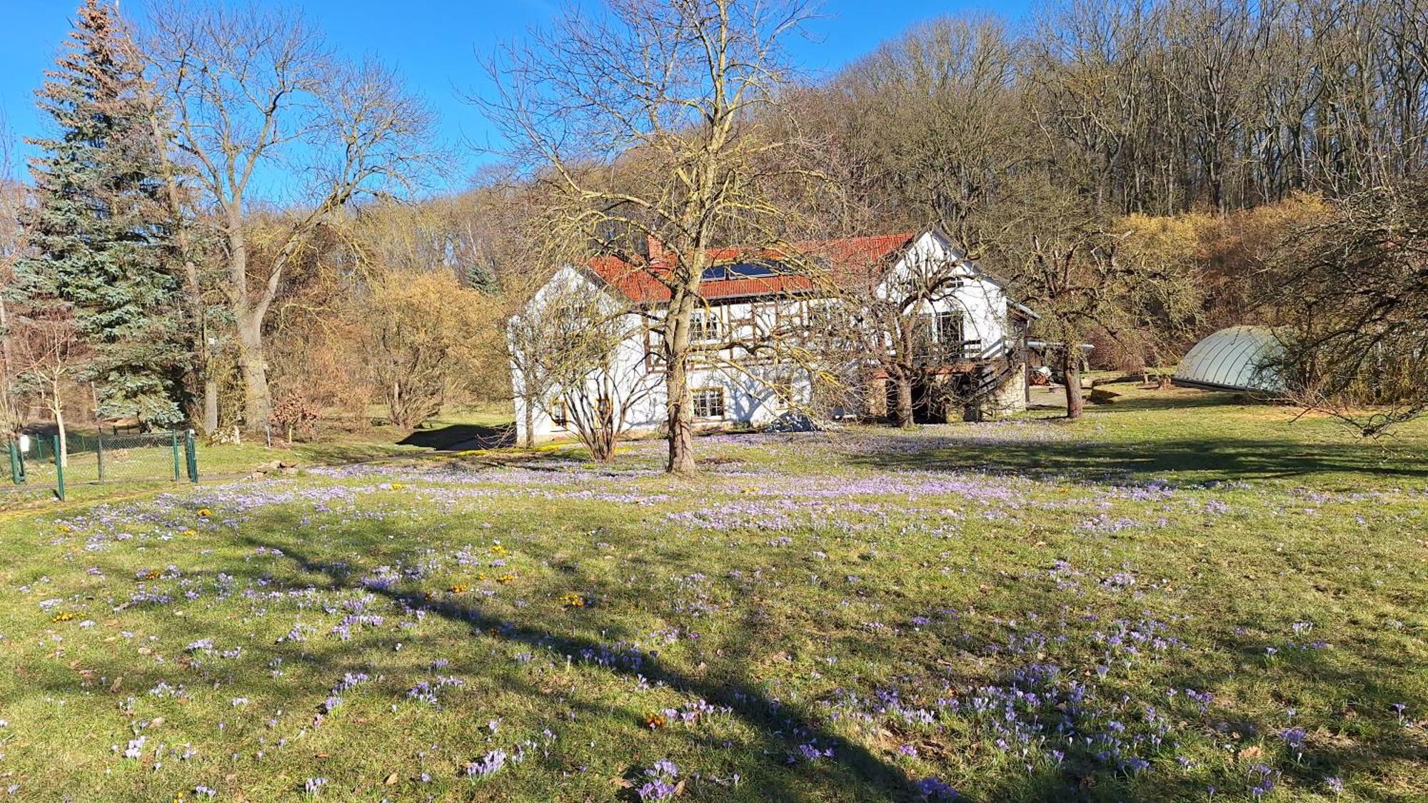 Ferienwohnung Obermuehle Ballstädt Δωμάτιο φωτογραφία