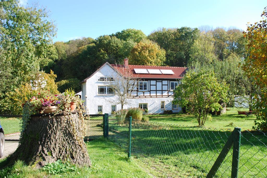 Ferienwohnung Obermuehle Ballstädt Δωμάτιο φωτογραφία